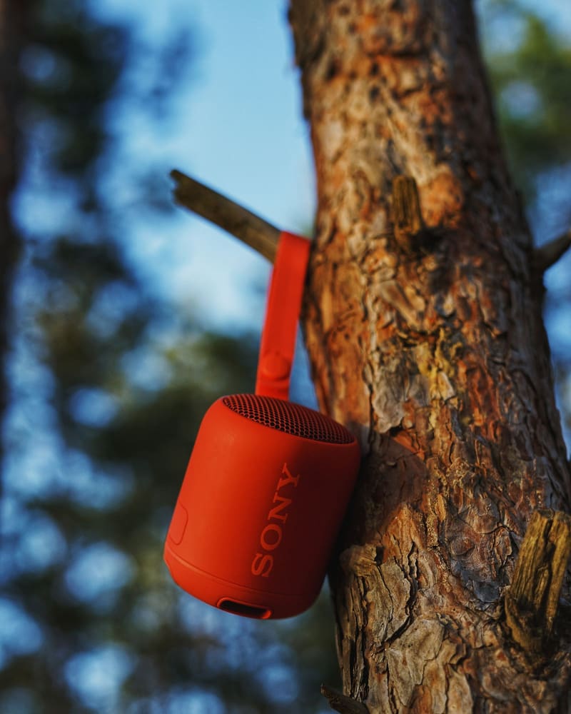 Northline Go Strap & Mount
